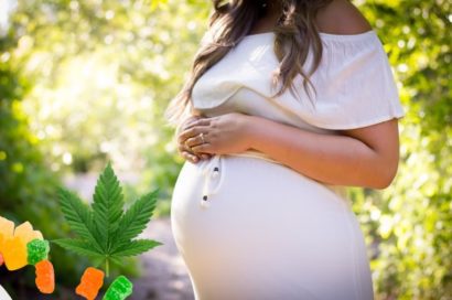 Is Edible Marijuana Safe for Pregnant Women? 1 Is Edible Marijuana Safe for Pregnant Women