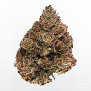Purple Biscotti (Exotic)