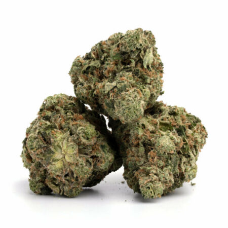 Notorious THC (Exotic) 5 Notorious THC 7 600x600 2