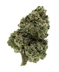 Notorious THC (Exotic)