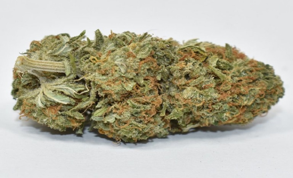 Northern lights Strain Everything You Should Know