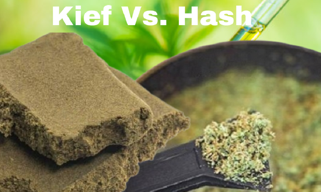 Kief Vs. Hash
