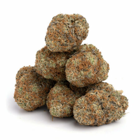 Hindu Kush 5 Hindu Kush 11 600x600 1