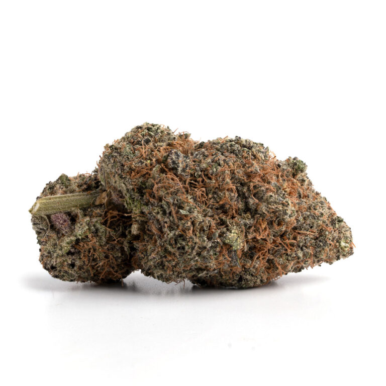 Pink Star 1 Pink Star 2 768x768 1