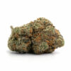 Sour Tangie 7 Sour Tangie
