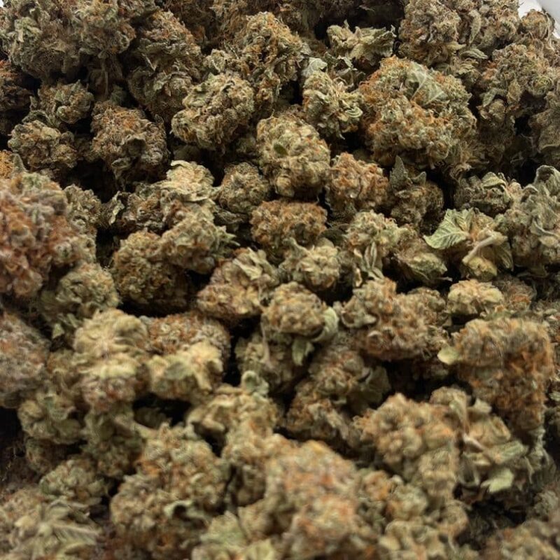 Critical Mass - Image 2