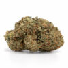 Critical Mass 2 768x768 1