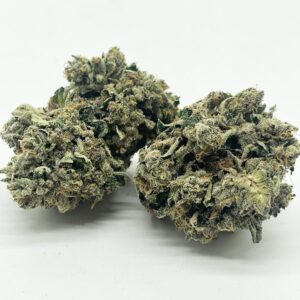 Animal Face - Bulk Deals (AAA)