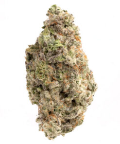 MAC 10 (AAAA+) - Bulk Packs