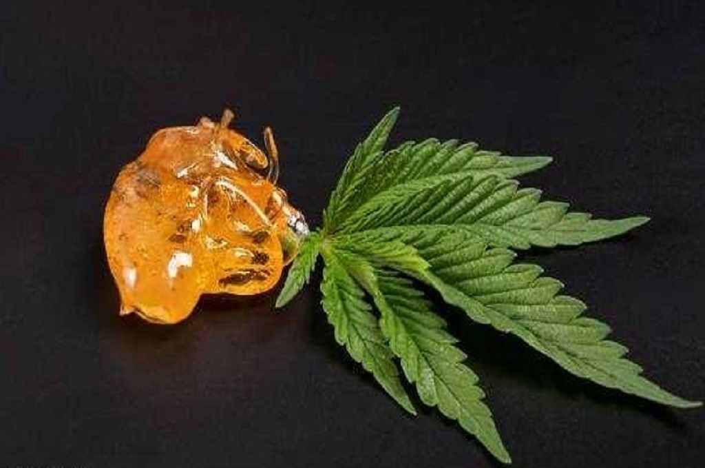 cannabis shatter