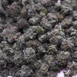 Tropical Cherry Small (AA+) - Bulk Deal