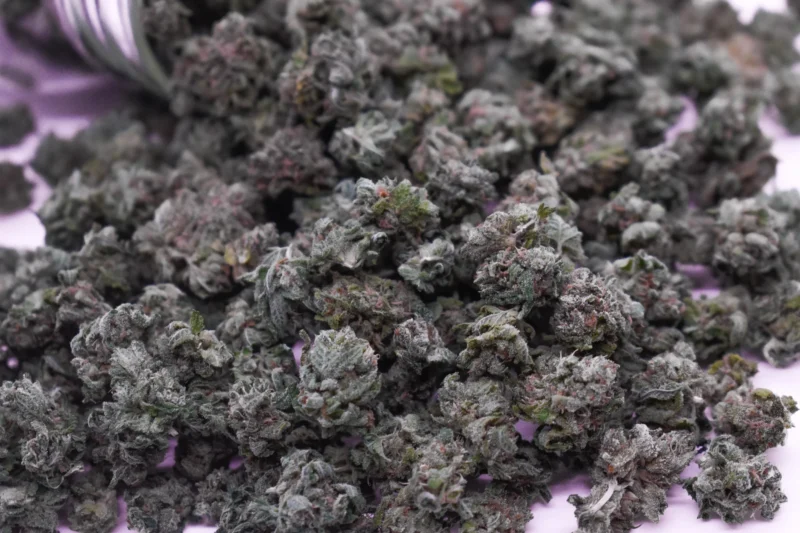 Tropical Cherry Small (AA+) - Bulk Deal