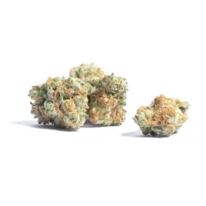 Sunset MAC Popcorn (AAAA) - Bulk Deal