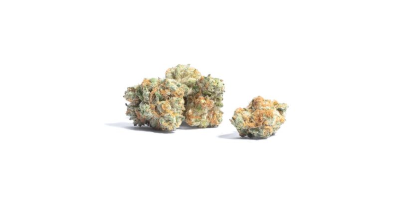 Sunset MAC Popcorn (AAAA) - Bulk Deal