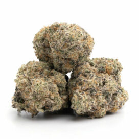 Top Euphoric Weed Strains for Uplifting and Feel-Good Experiences 6 Miracle Alien Cookies X1