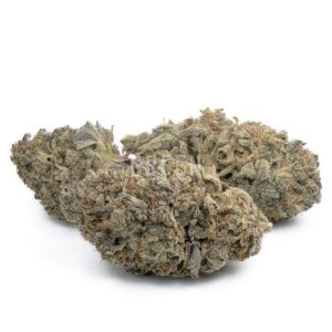 Mendocino Purps (AAA+) - Bulk Deals