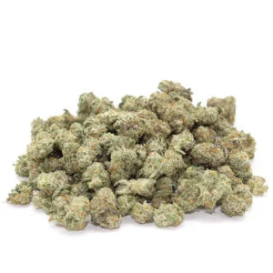 Miracle Alien Cookies X1 Small (AAAA) - Bulk Deal