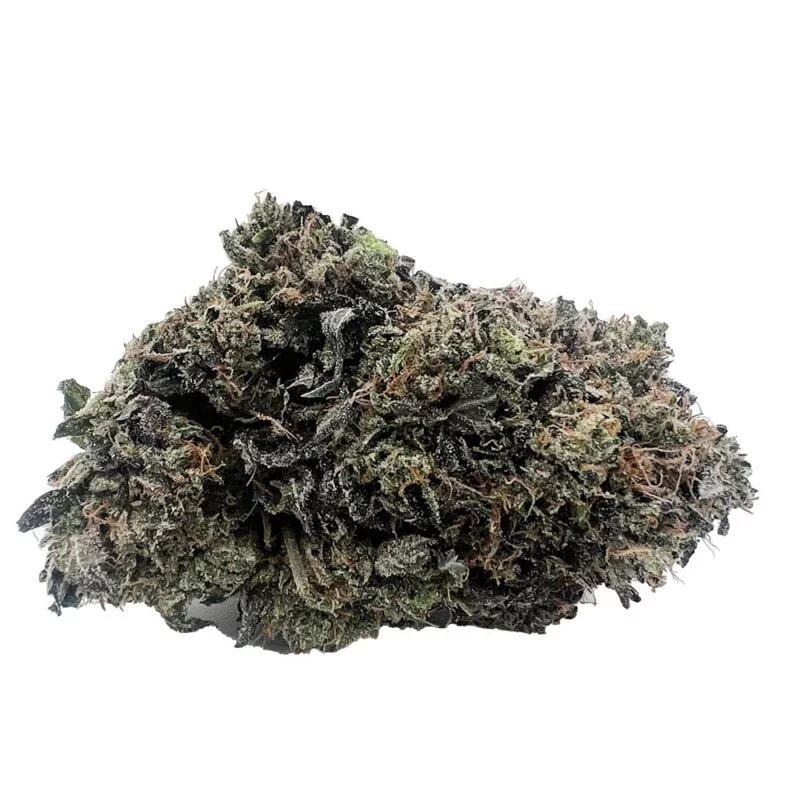 Platinum Gucci – AAAA - Image 2