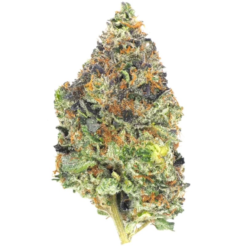 Gas Daddy AAAA - Image 3