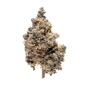 Chocolate Mint OG