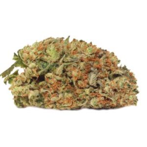 Astro Pink Kush
