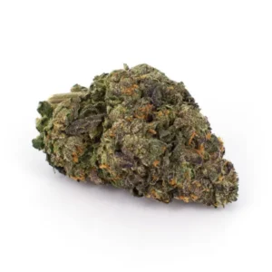 Gelato 45