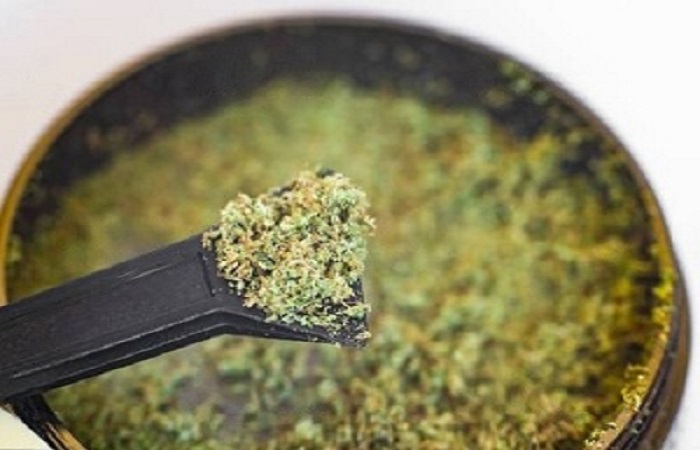 Kief vs Hash