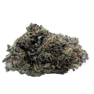 Platinum Gucci – AAAA
