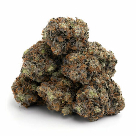 Platinum Gucci – AAAA 5 Platinum Gucci 11 600x600 1