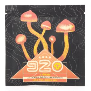 920 Shroom Iced Tea Mix