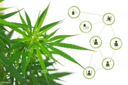 Cannabis and the Endocannabinoid System: A Deep Dive 1 Cannabis and the Endocannabinoid System