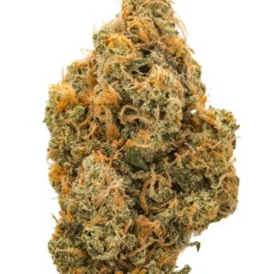 Northern light Popcorn (AAA+)