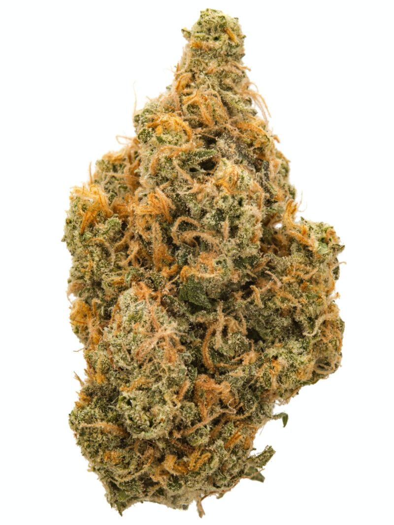 Northern light Popcorn (AAA+)