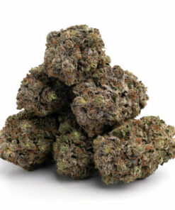 Northern light Popcorn (AAA+) - Bulk Deal