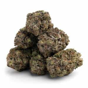 Northern light Popcorn (AAA+) - Bulk Deal