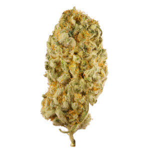 Jack Herer Small (AA) - Bulk Deal