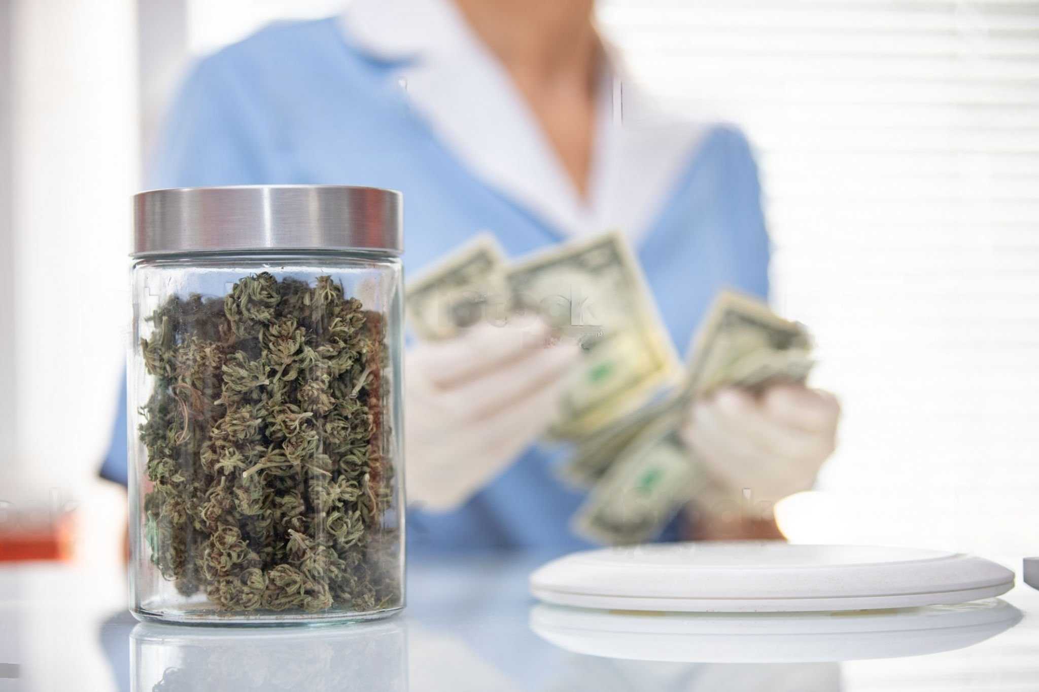 How to Use Feedback to Choose the Right Online Weed Dispensary in Canada