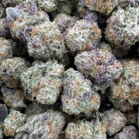 Miracle Alien Cookies X1 Popcorn