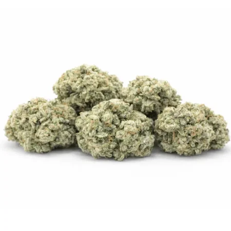 Miracle Alien Cookies X1 Popcorn