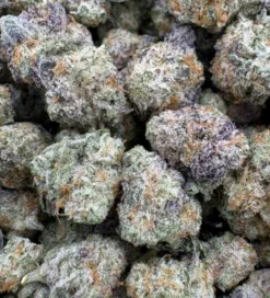 Miracle Alien Cookies X1