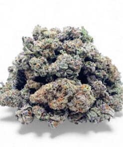 Goldberry Popcorn (AAAA) - Bulk Deal