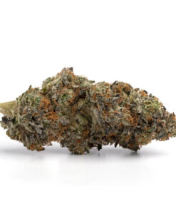 Pink Kush (AAAA) - Bulk Deal