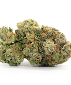 Critical Kush (AAA+) - Bulk Deal