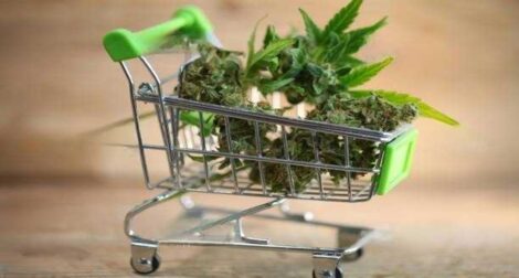 Top 5 Reasons Canadians Prefer Online Dispensaries Over Local Stores 1 Top 5 Reasons Canadians Prefer Online Dispensaries Over Local Stores