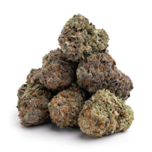 Home 31 Permanent Marker Popcorn