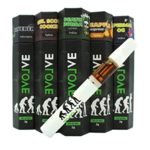 Evolve – Disposable Vape Pen (2g)
