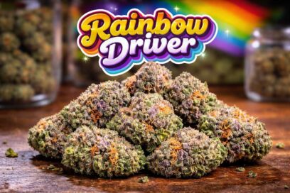 Rainbow Driver Strain Review