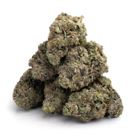 Bernie Hana Butter 5 Bernie Hana Butter 11 1024x1024 1