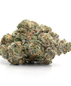 Buy Weed Online Lloydminster, Saskatchewan 5 Frosted Cream Puffs