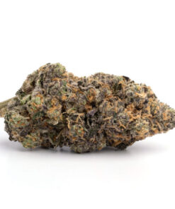 Home 35 Jelly Breath